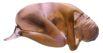 Premier amour ambre et mauve - Daum